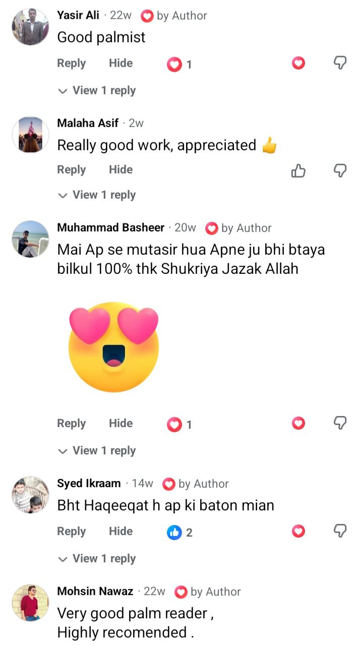 Facebook comment praising Ejaz Reads hand reading service